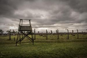 Auschwitz 13