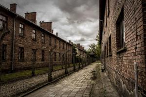 Auschwitz 17
