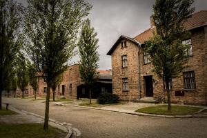Auschwitz 20