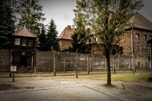 Auschwitz 22