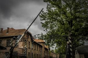 Auschwitz 25