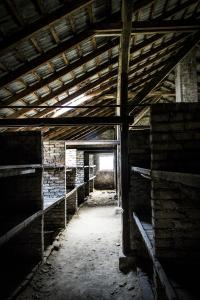 Auschwitz 5