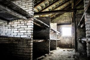 Birkenau2 small